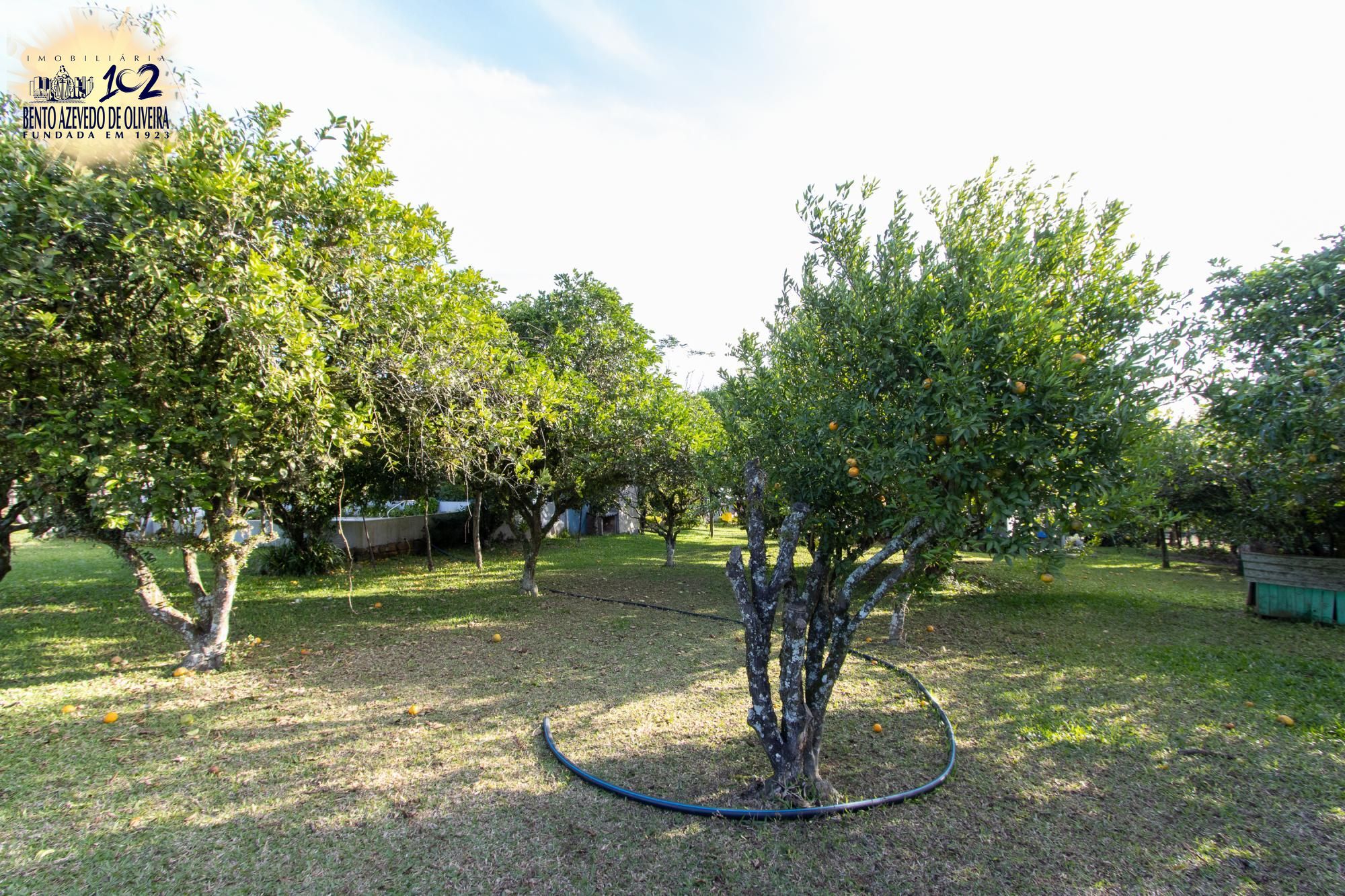 Sítio, 3 quartos, 8 hectares - Foto 48