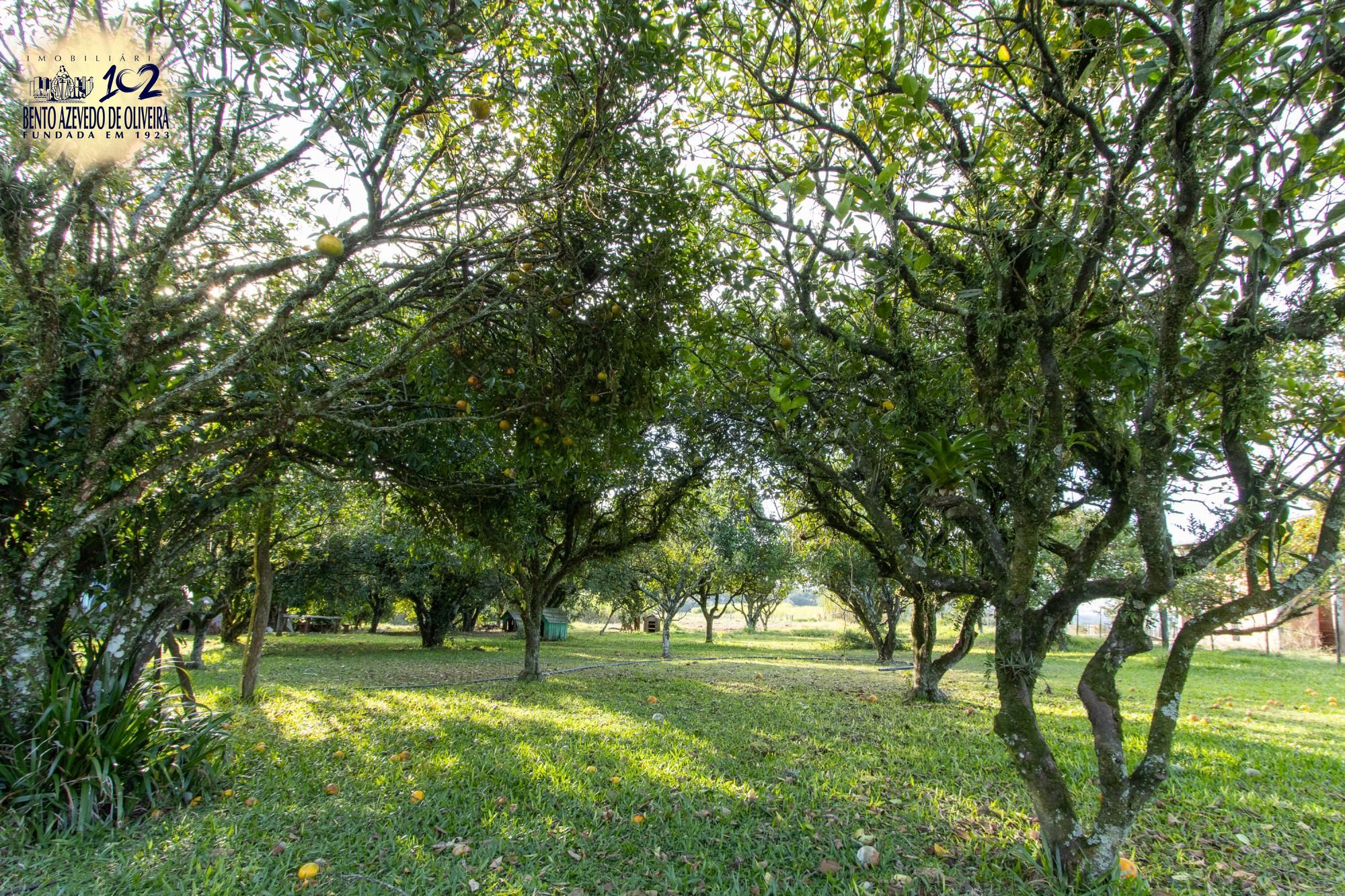 Sítio, 3 quartos, 8 hectares - Foto 46