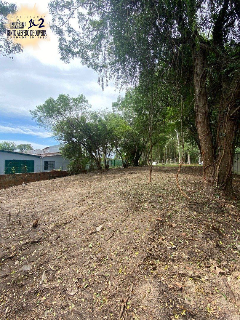 Terreno, 2490 m² - Foto 2