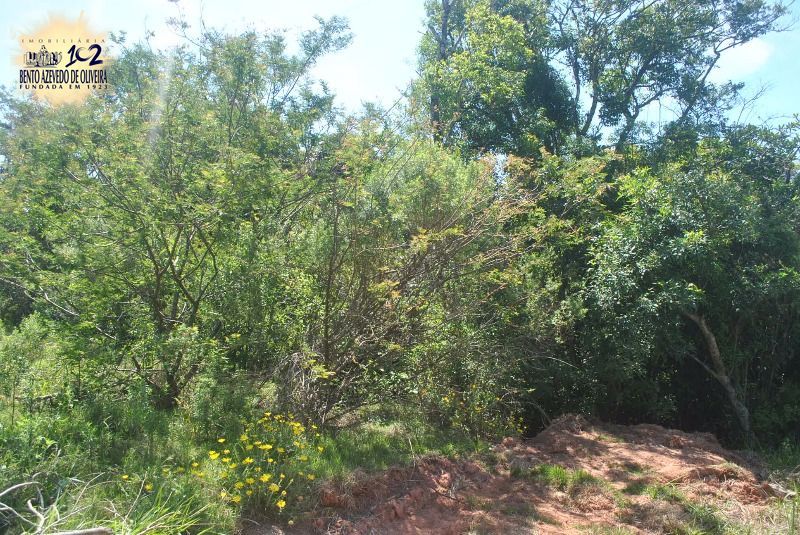 Terreno, 930 m² - Foto 4