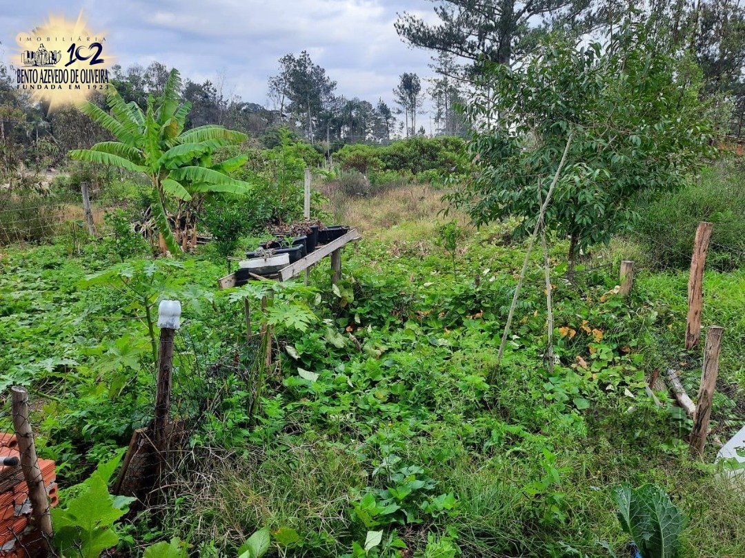 Casa, 1 quarto, 29 m² - Foto 5