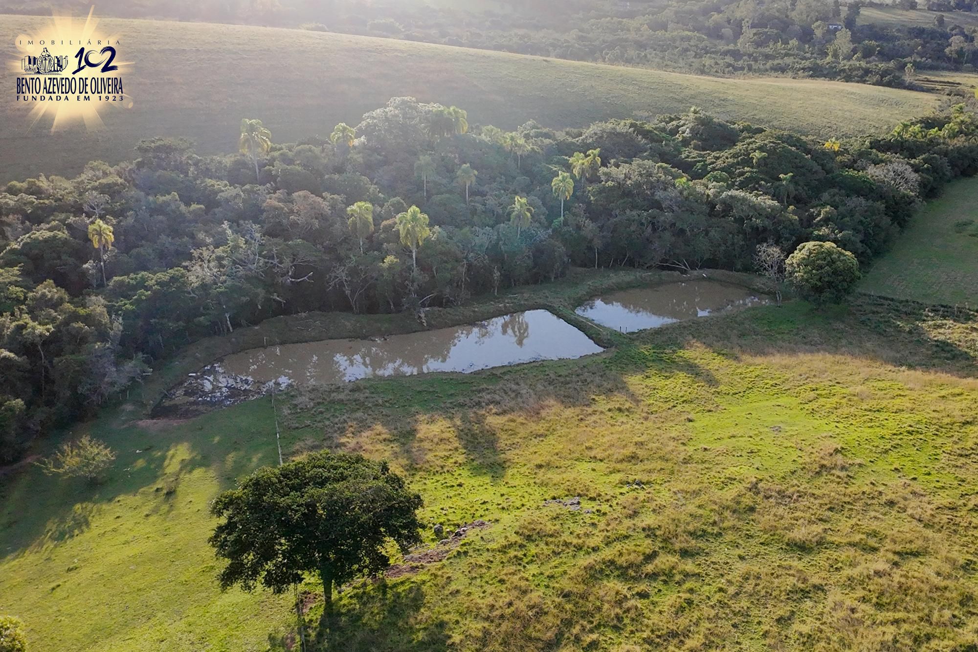 Sítio, 3 quartos, 8 hectares - Foto 59