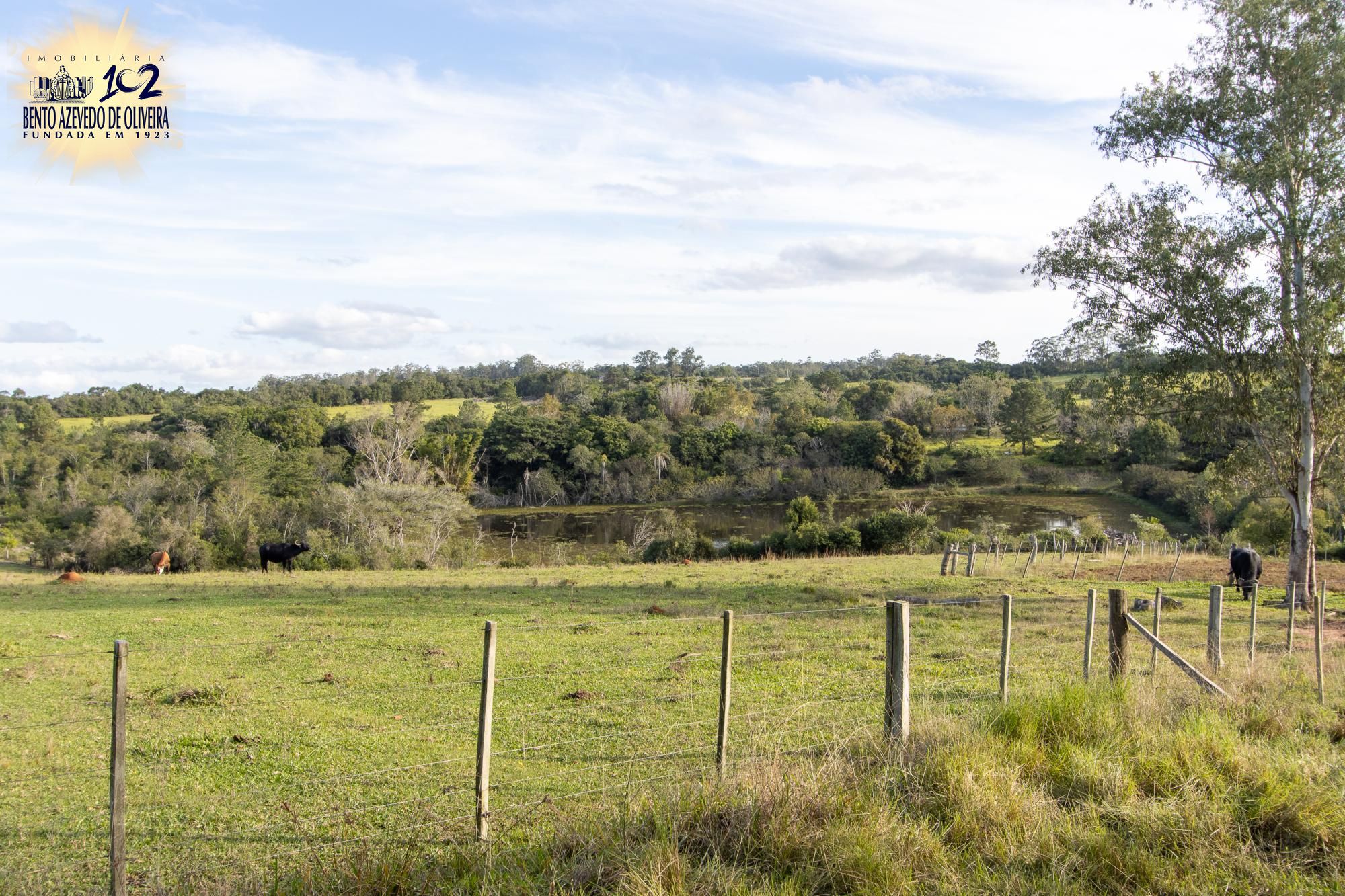 Sítio, 3 quartos, 8 hectares - Foto 64