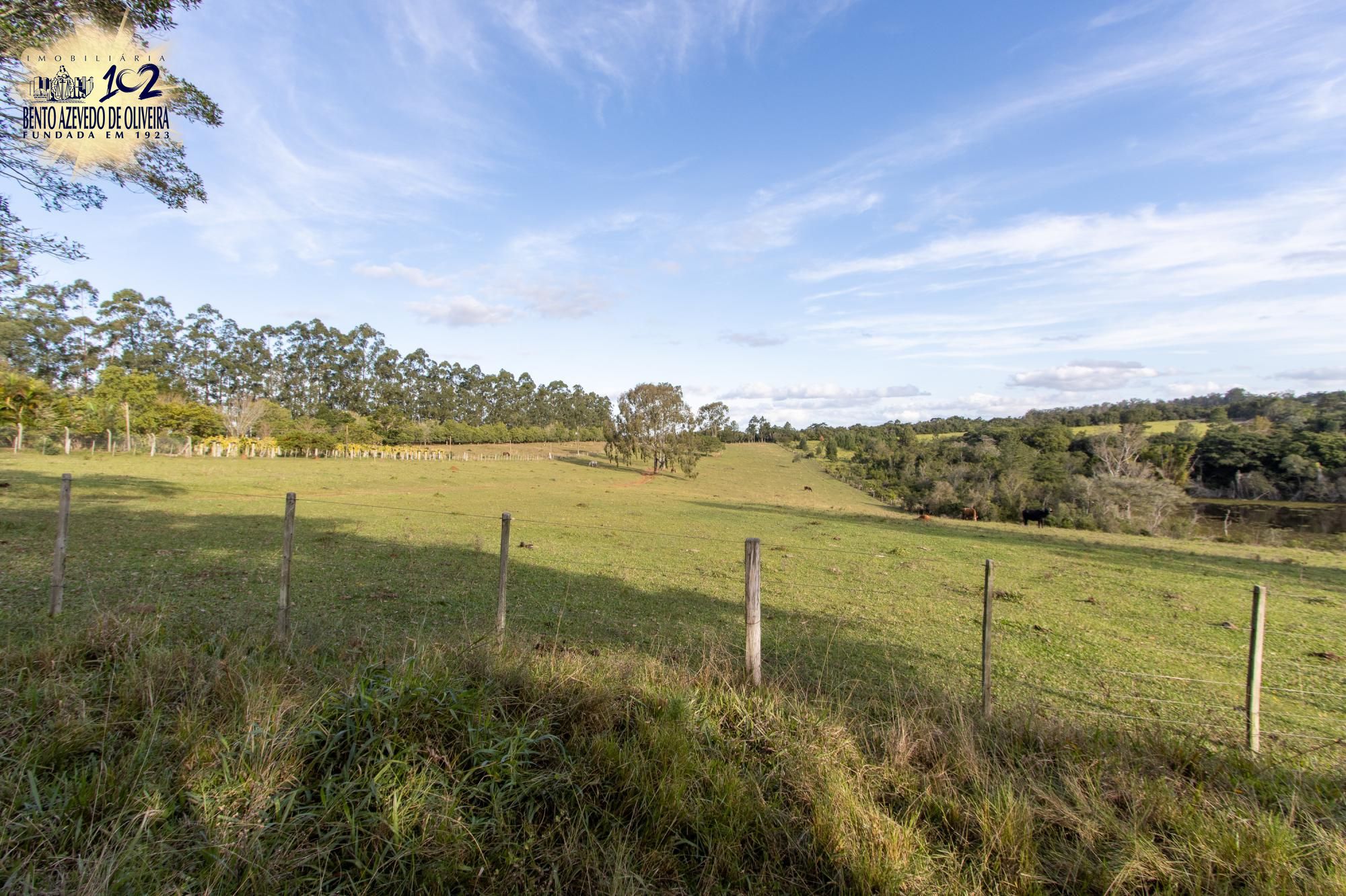Sítio, 3 quartos, 8 hectares - Foto 65