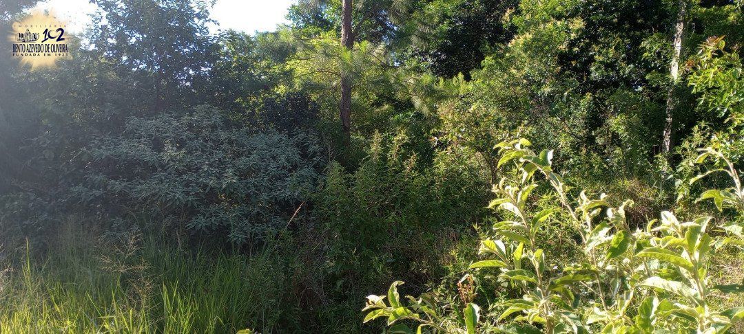 Terreno, 653 m² - Foto 6