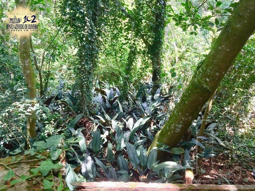 Casa, 3 quartos, 570 m² - Foto 86