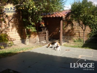 Casa, 4 quartos, 530 m² - Foto 14