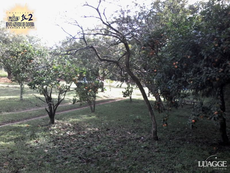 Terreno, 2460 m² - Foto 4