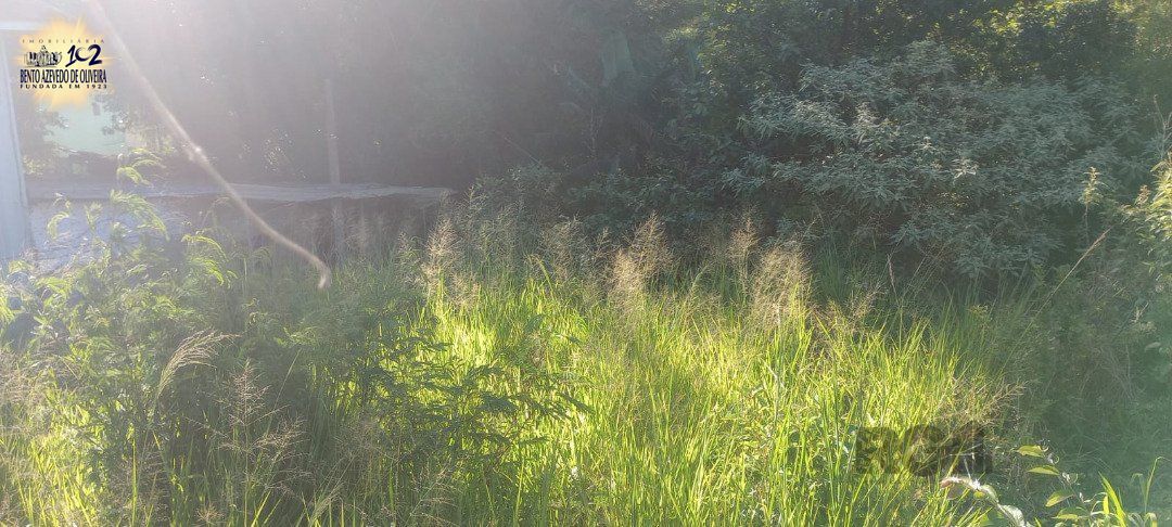 Terreno, 653 m² - Foto 7