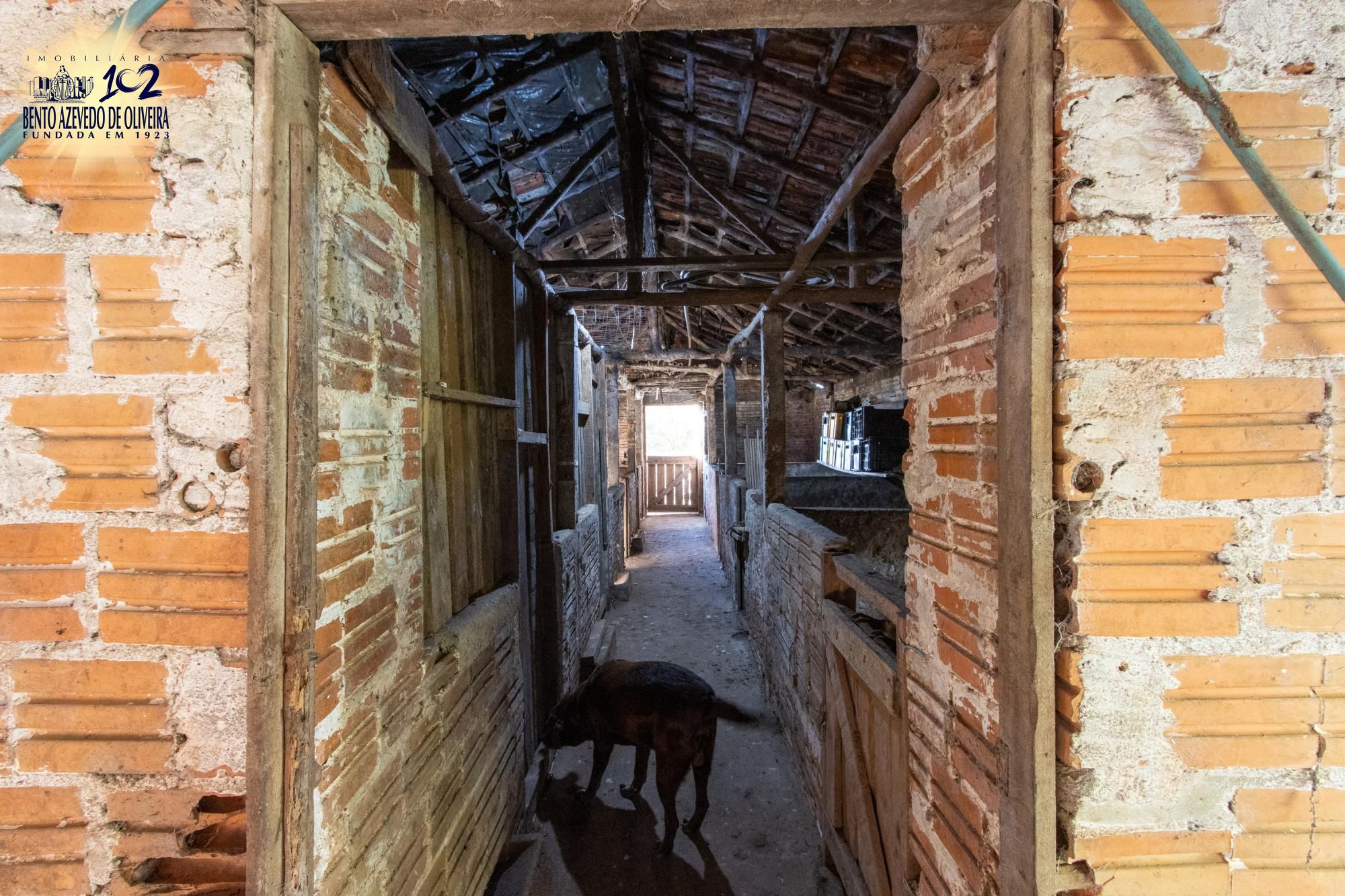 Sítio, 3 quartos, 8 hectares - Foto 56