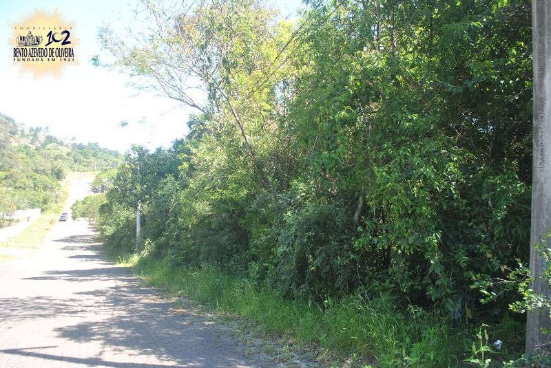 Terreno, 2611 m² - Foto 5