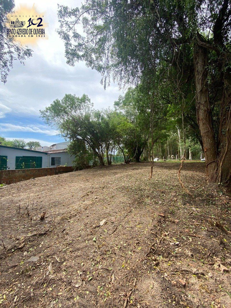 Terreno, 2490 m² - Foto 5