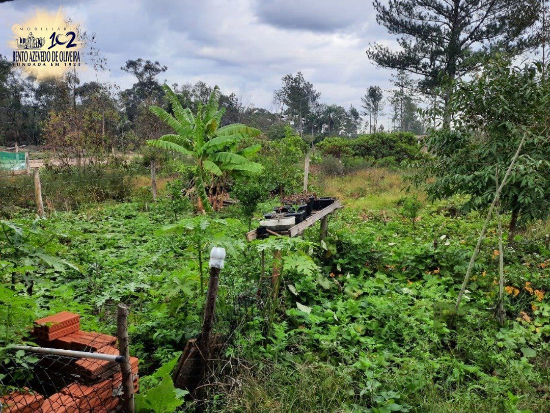 Casa, 1 quarto, 29 m² - Foto 6