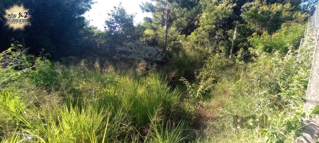 Terreno, 653 m² - Foto 8