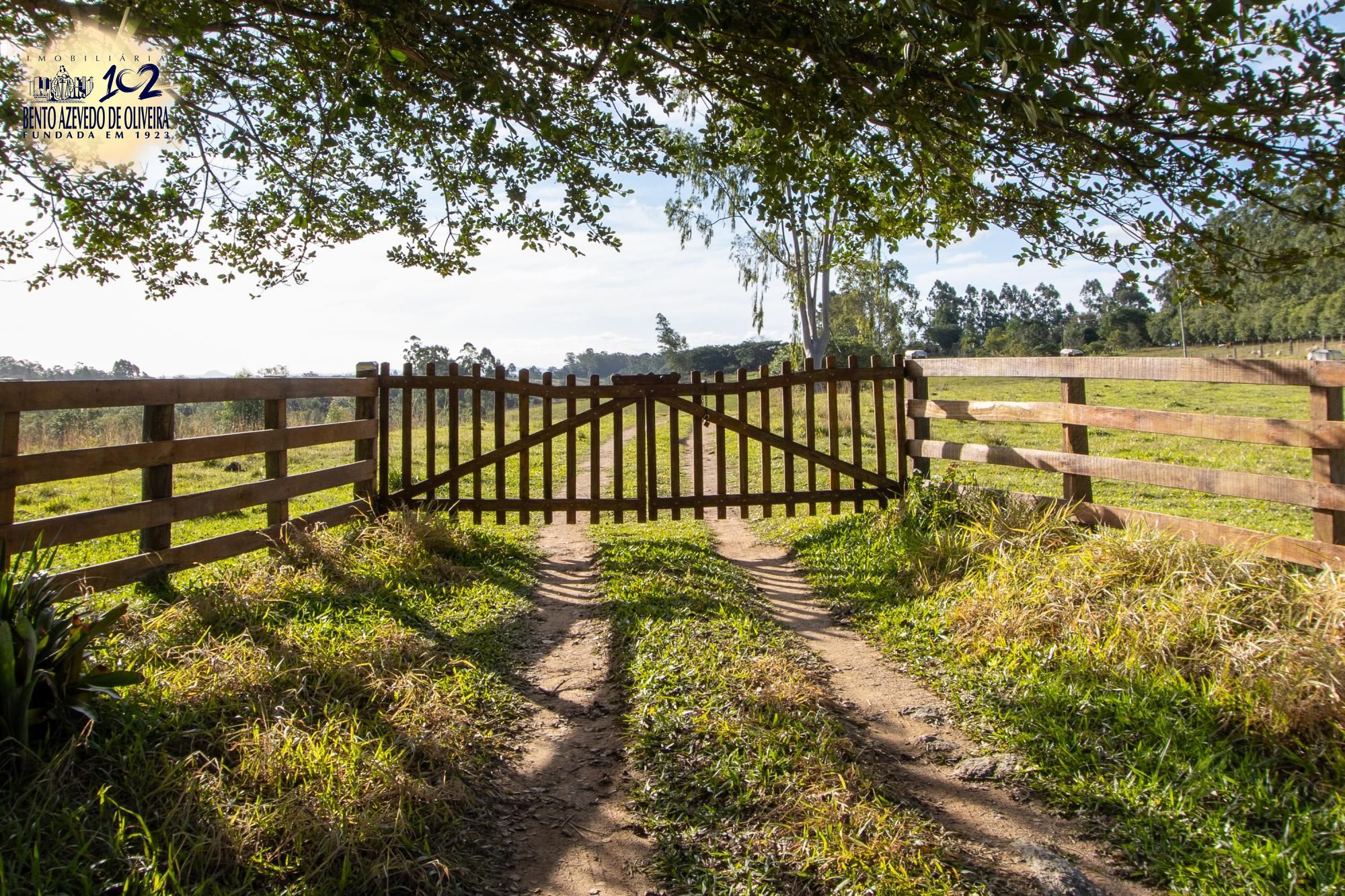 Sítio, 3 quartos, 8 hectares - Foto 1