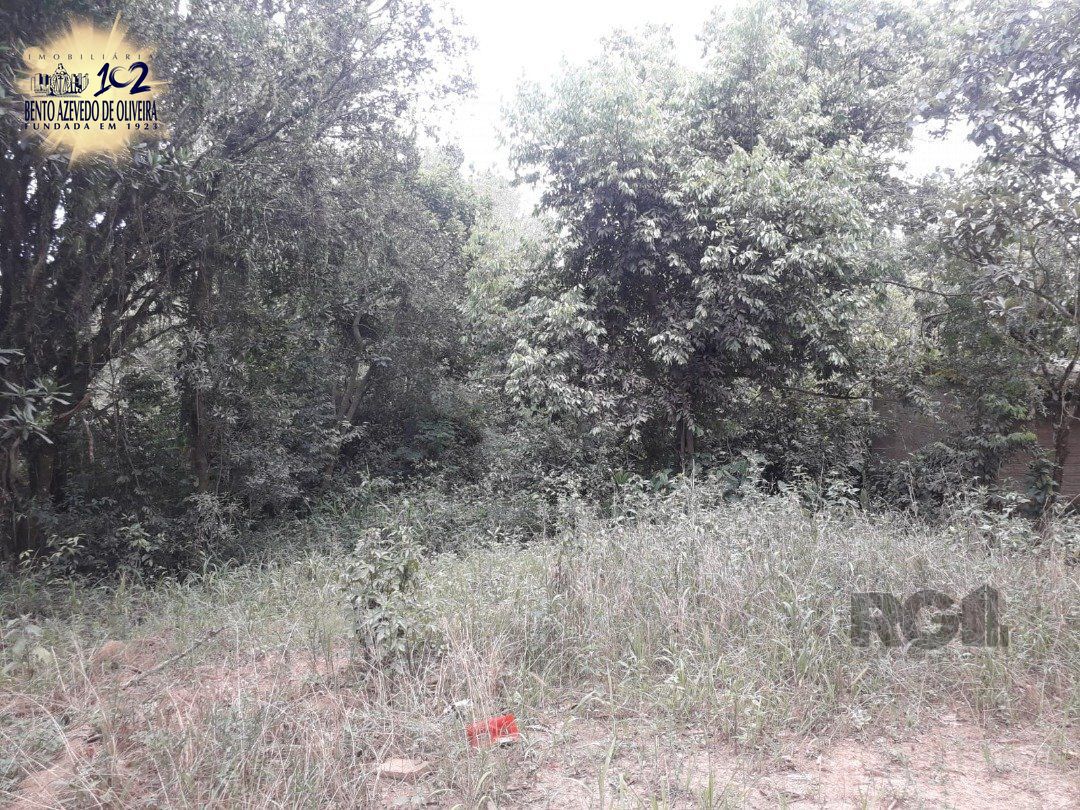 Terreno, 4431 m² - Foto 4