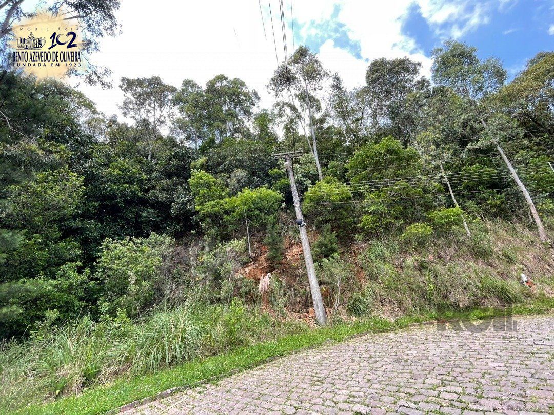 Terreno, 369 m² - Foto 1