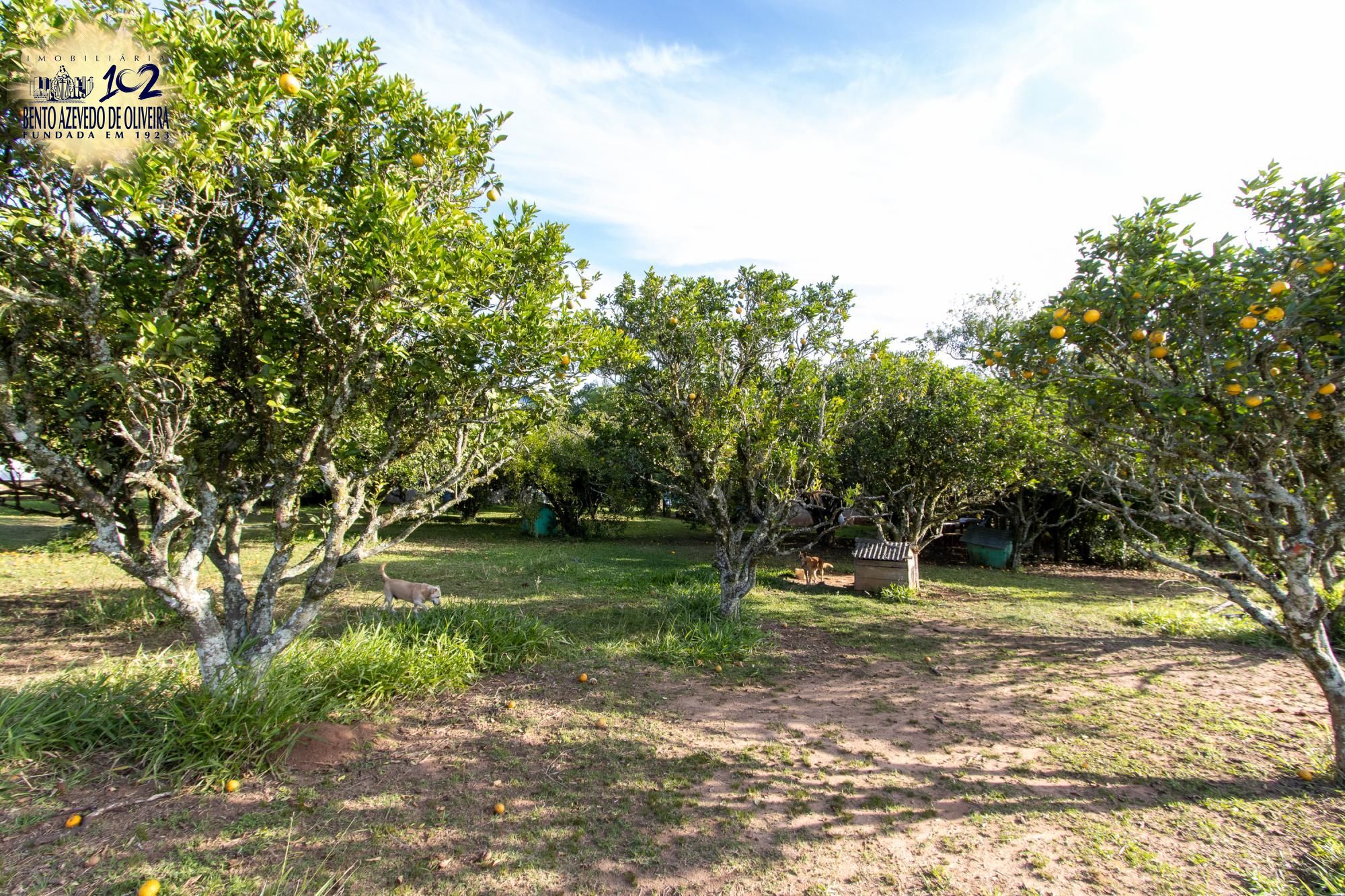 Sítio, 3 quartos, 8 hectares - Foto 49