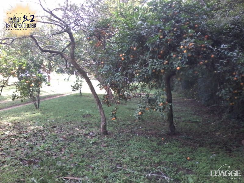 Terreno, 2460 m² - Foto 3