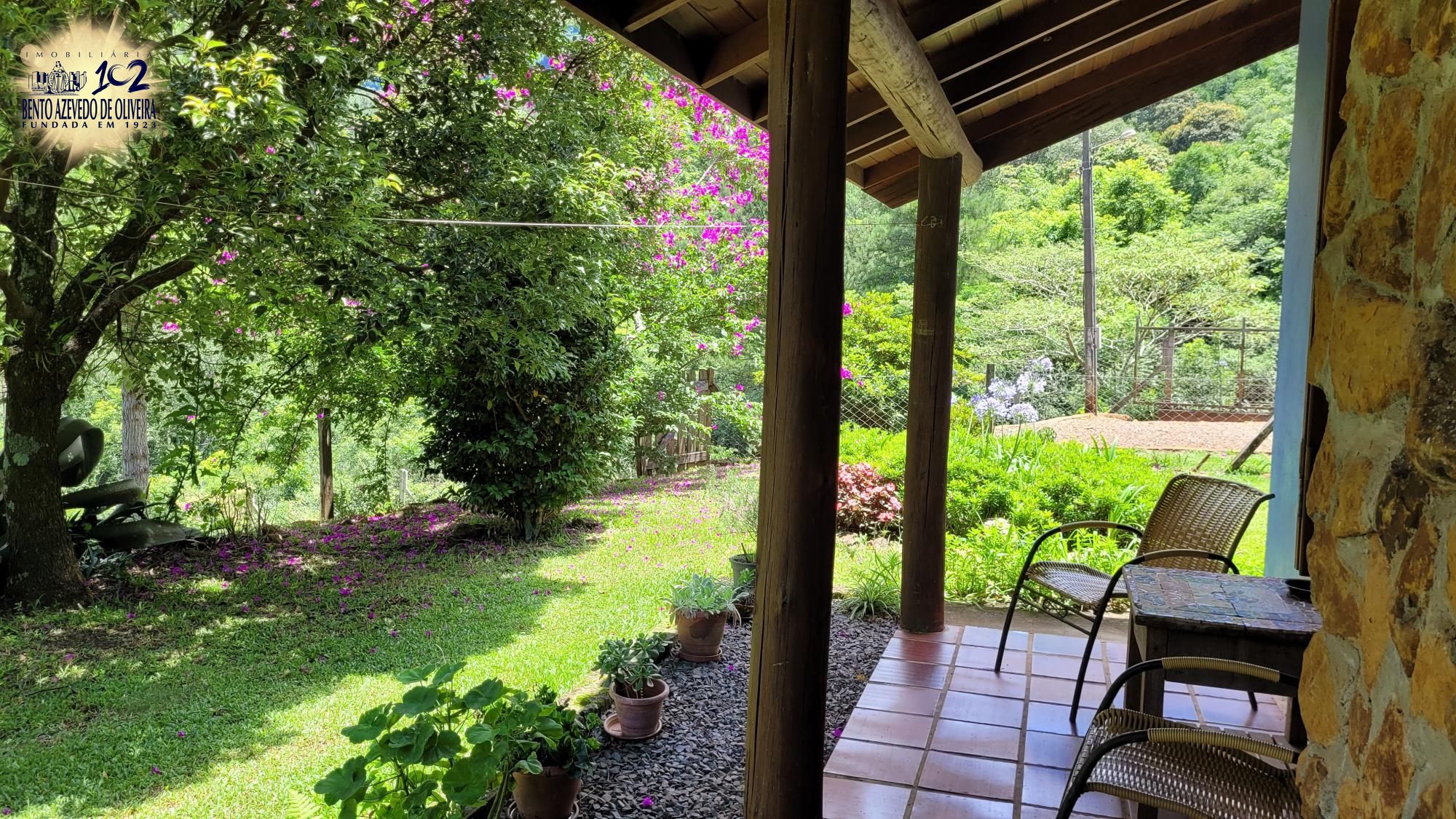 Chácara, 3 quartos, 10000 m² - Foto 5