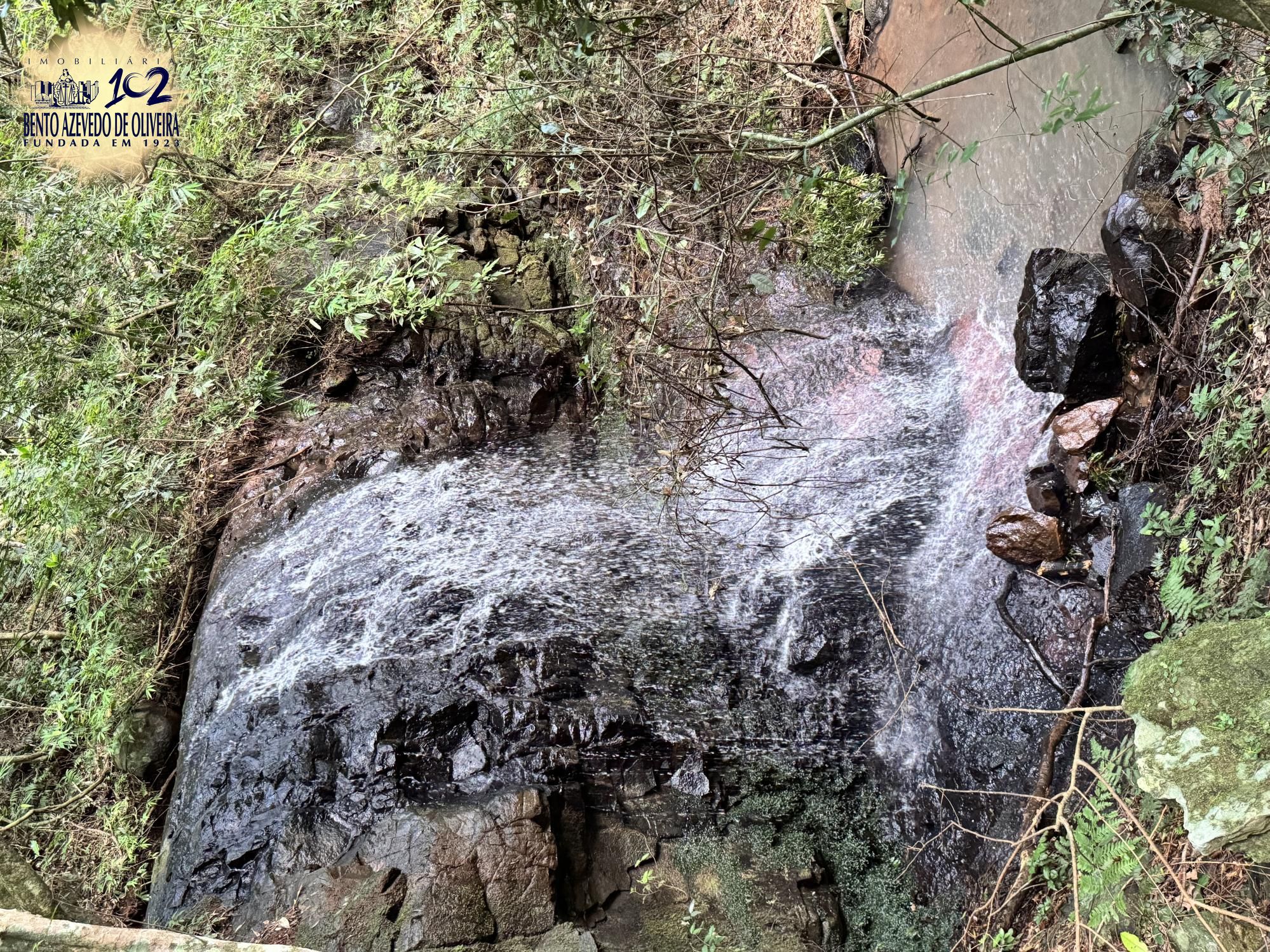 Chácara, 3 quartos, 10000 m² - Foto 14