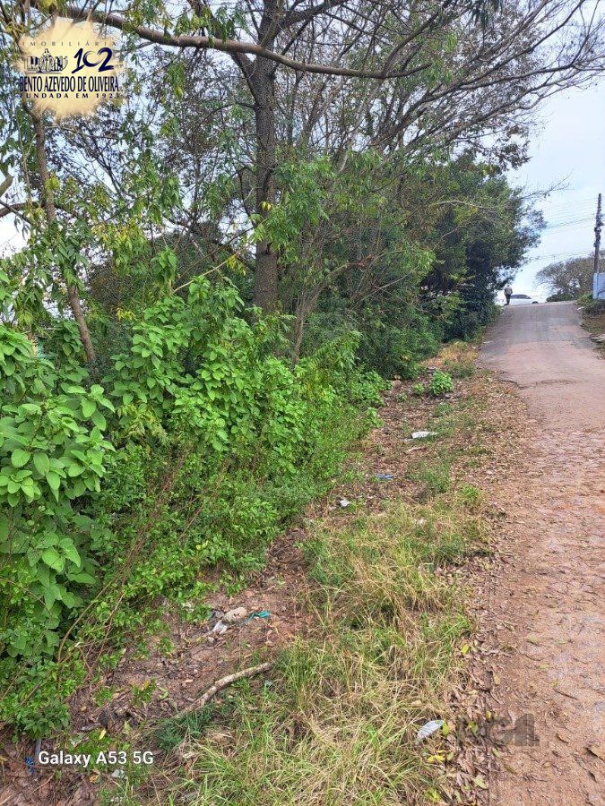 Terreno, 6801 m² - Foto 10