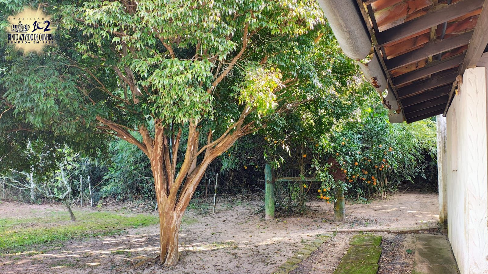 Fazenda, 28 hectares - Foto 15