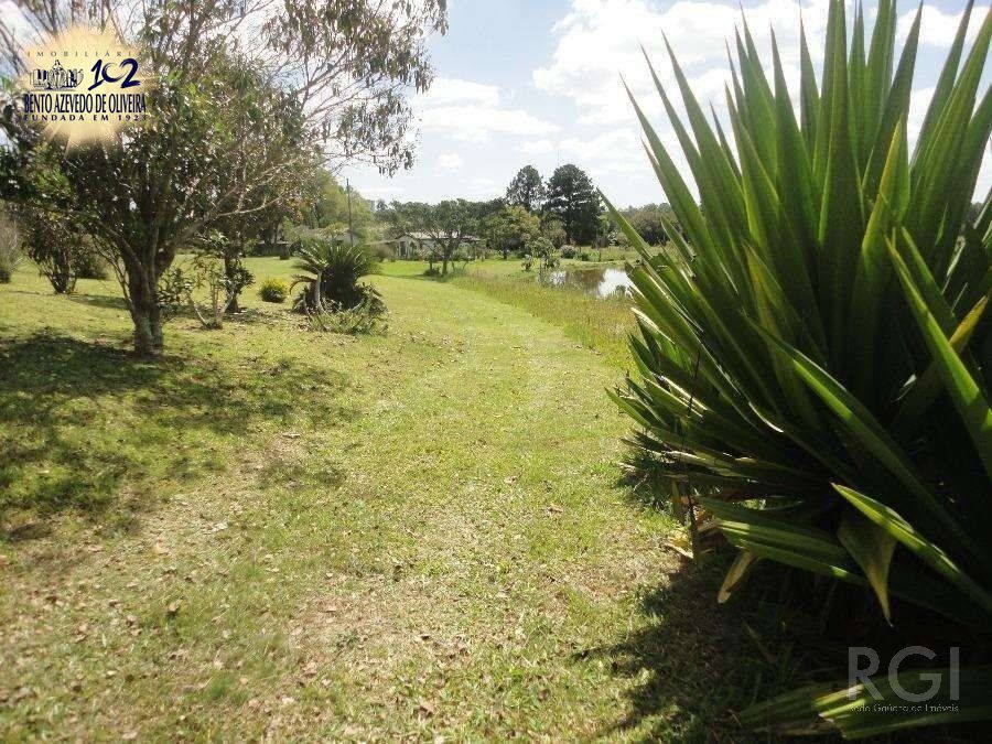 Chácara, 3 quartos, 8 hectares - Foto 13