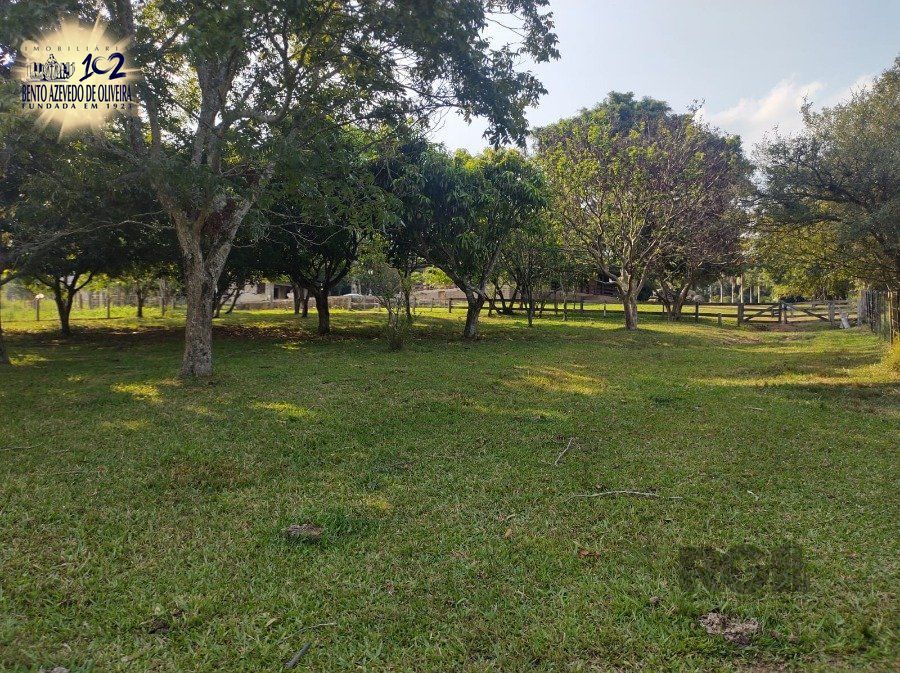 Chácara, 5 quartos, 2800 hectares - Foto 2