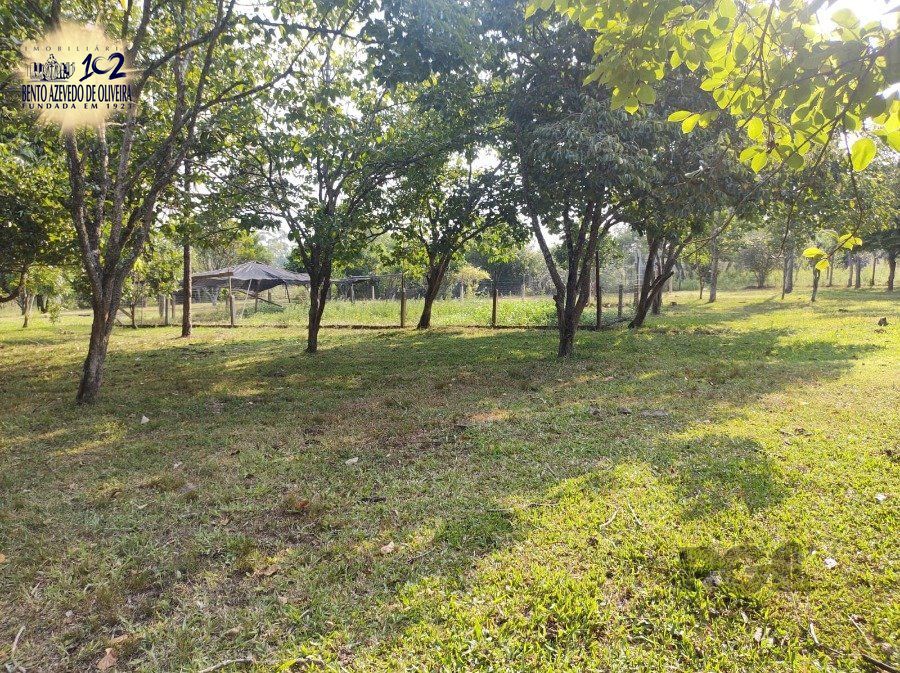 Chácara, 5 quartos, 2800 hectares - Foto 5