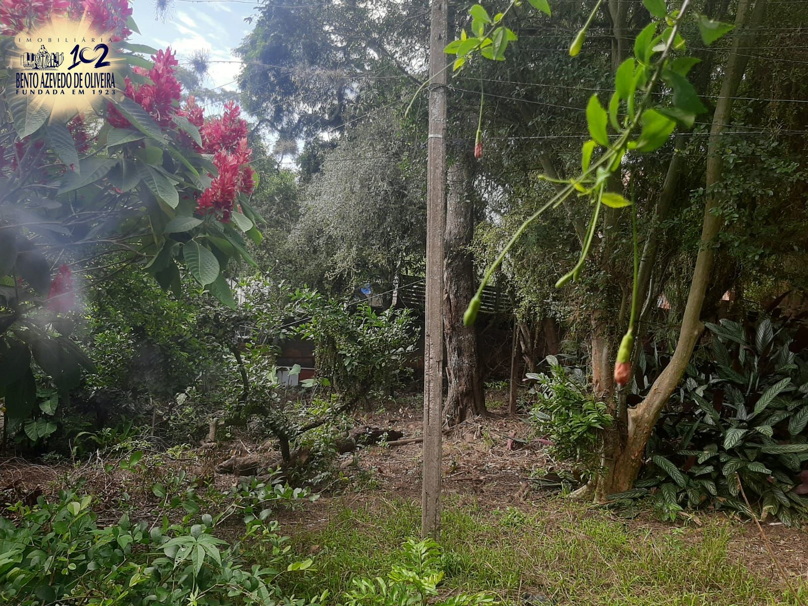 Terreno, 6801 m² - Foto 15