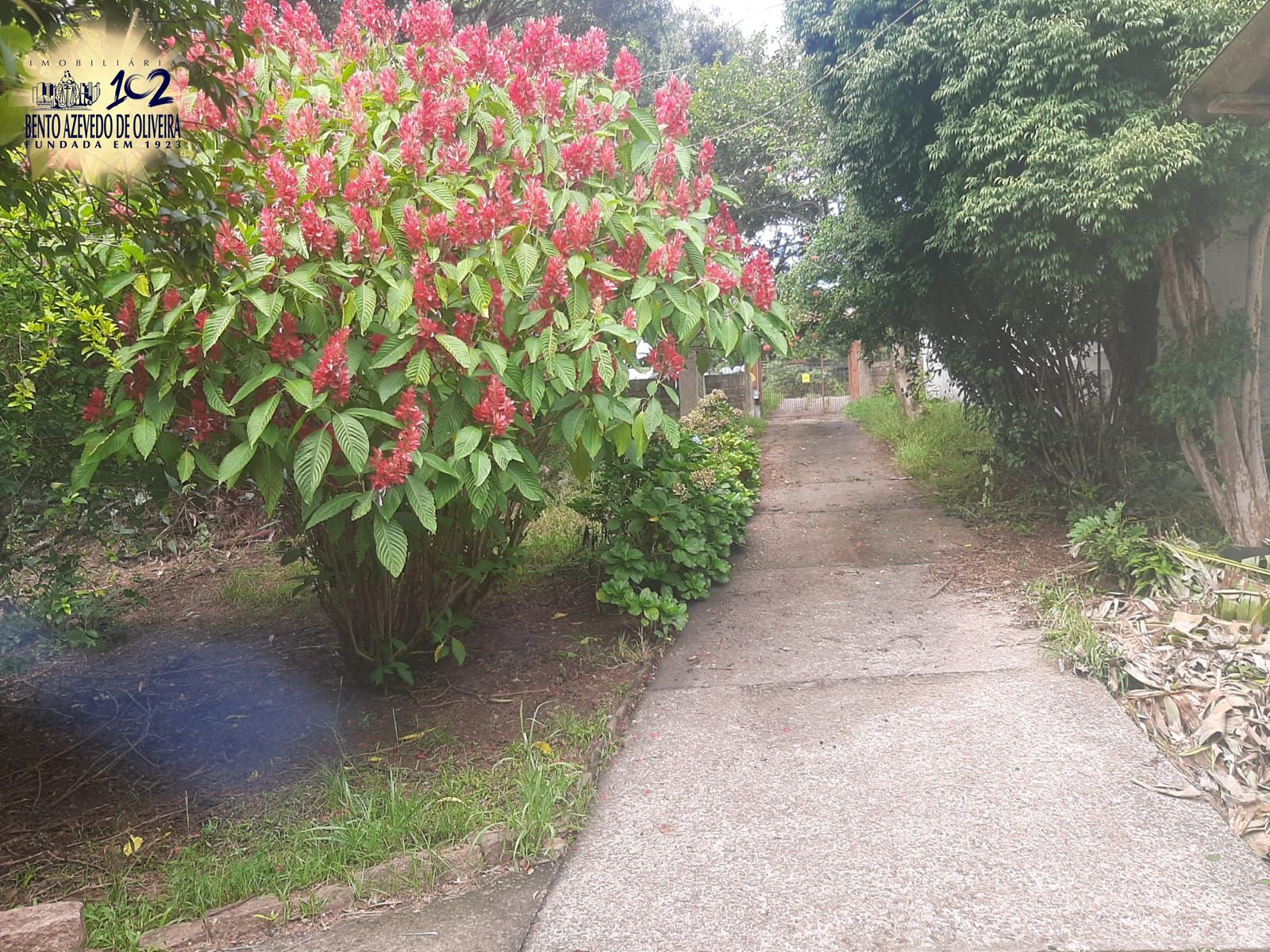 Terreno, 6801 m² - Foto 13