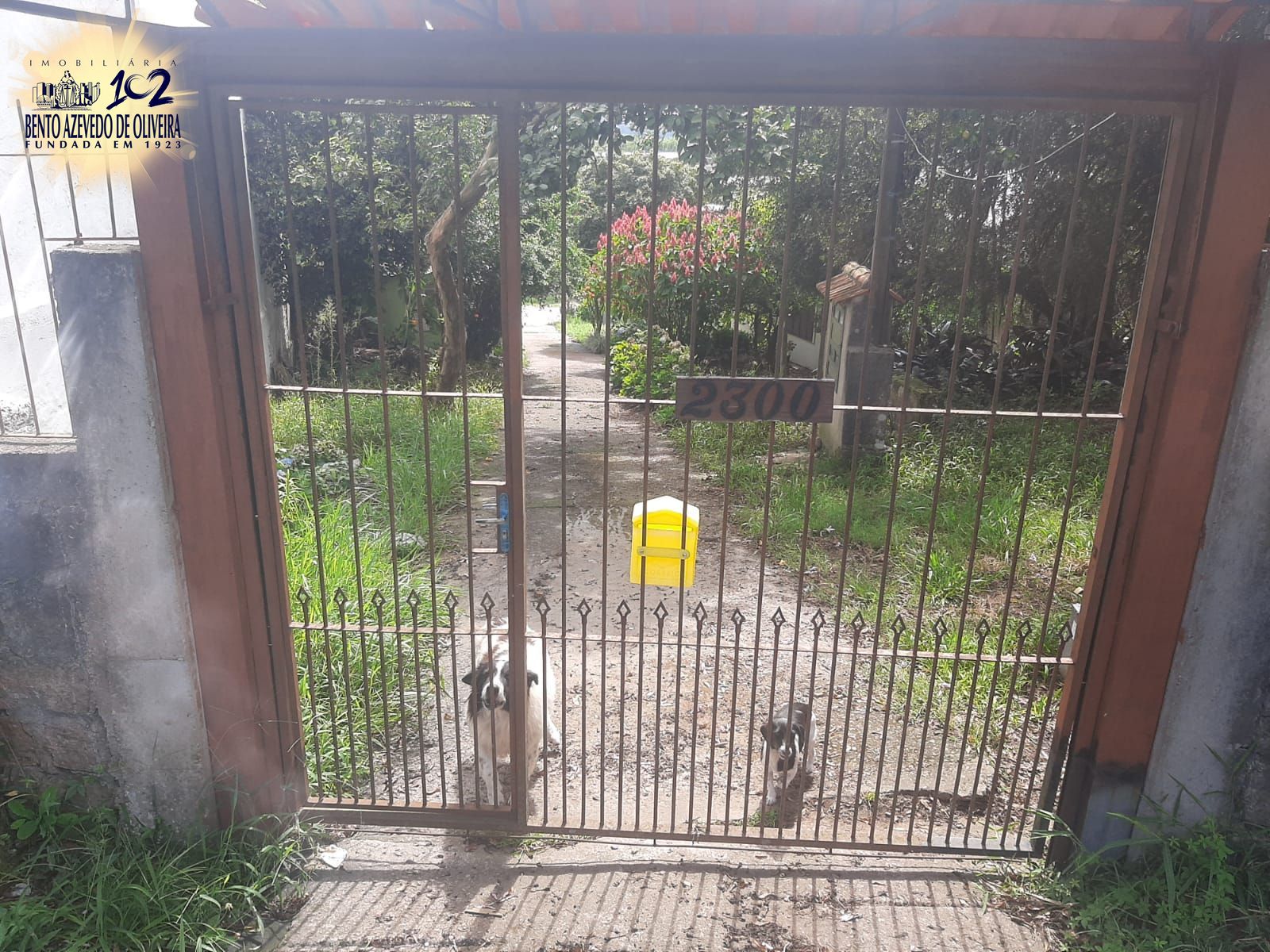 Terreno, 6801 m² - Foto 2