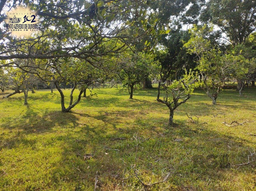 Chácara, 5 quartos, 2800 hectares - Foto 23