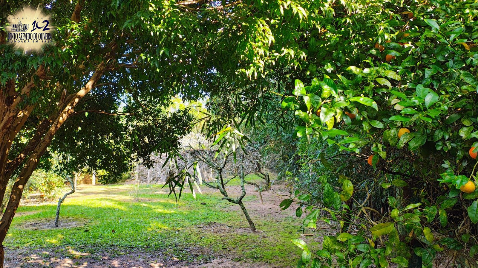 Fazenda, 28 hectares - Foto 13