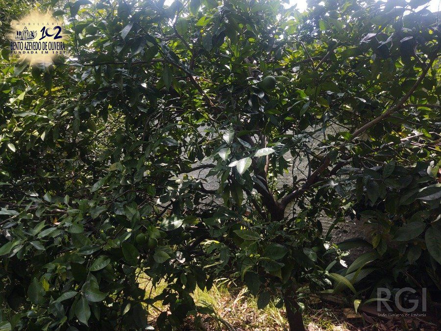 Casa, 2 quartos, 120 m² - Foto 12