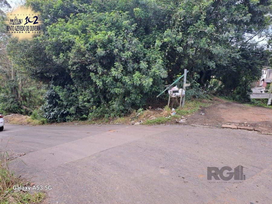 Terreno, 6801 m² - Foto 3