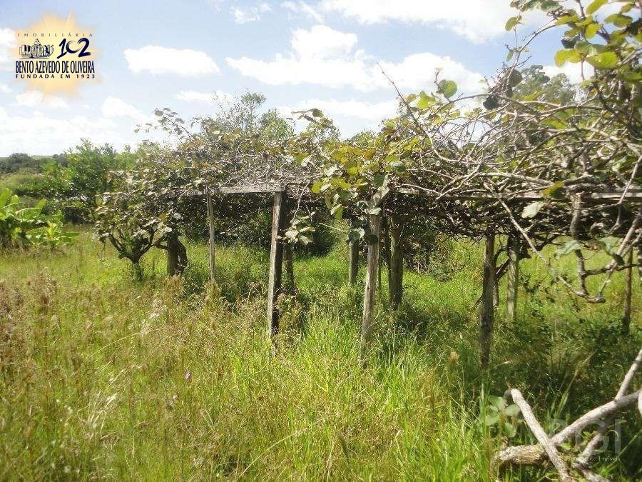 Chácara, 3 quartos, 8 hectares - Foto 11