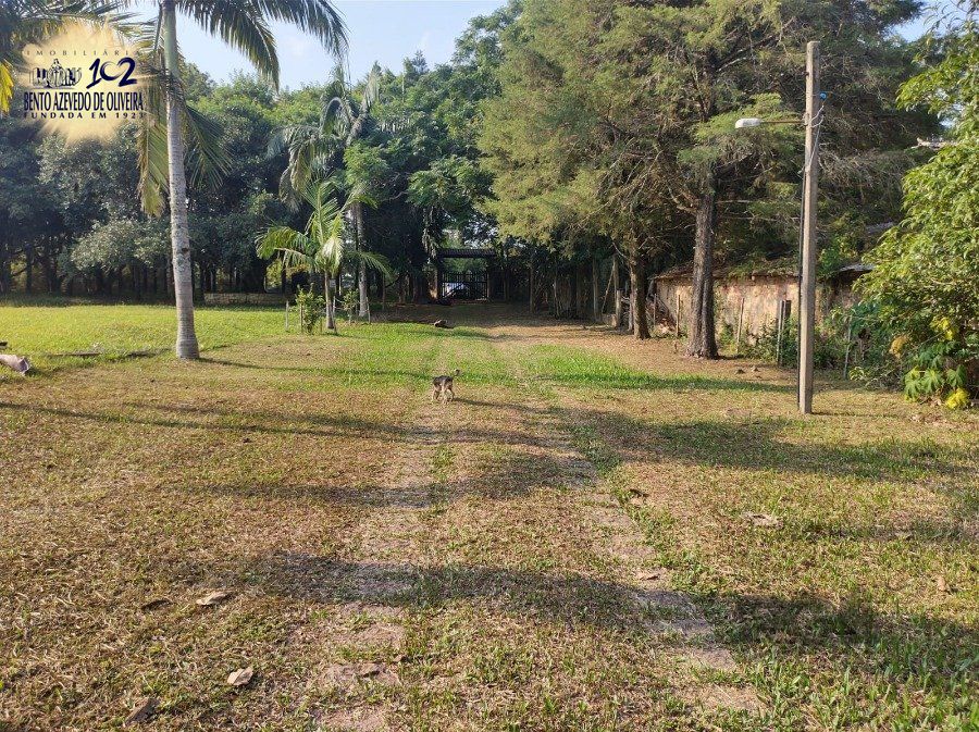 Chácara, 5 quartos, 2800 hectares - Foto 36