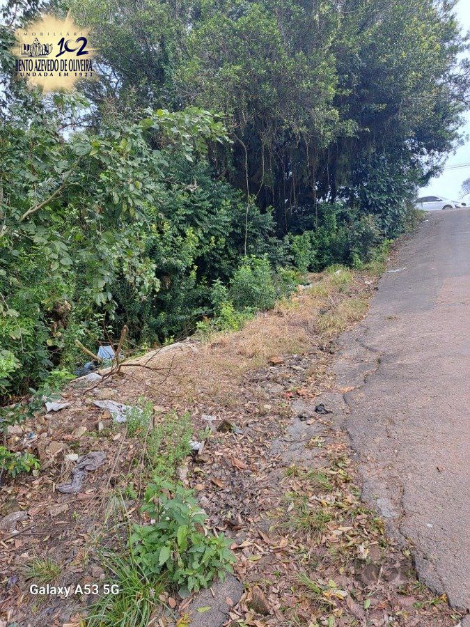 Terreno, 6801 m² - Foto 8