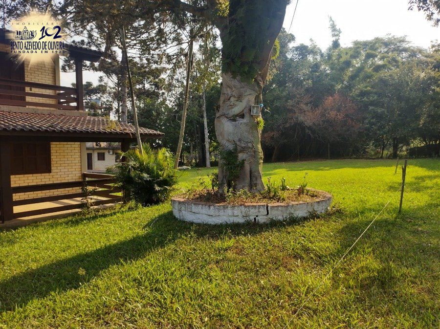 Chácara, 5 quartos, 2800 hectares - Foto 31