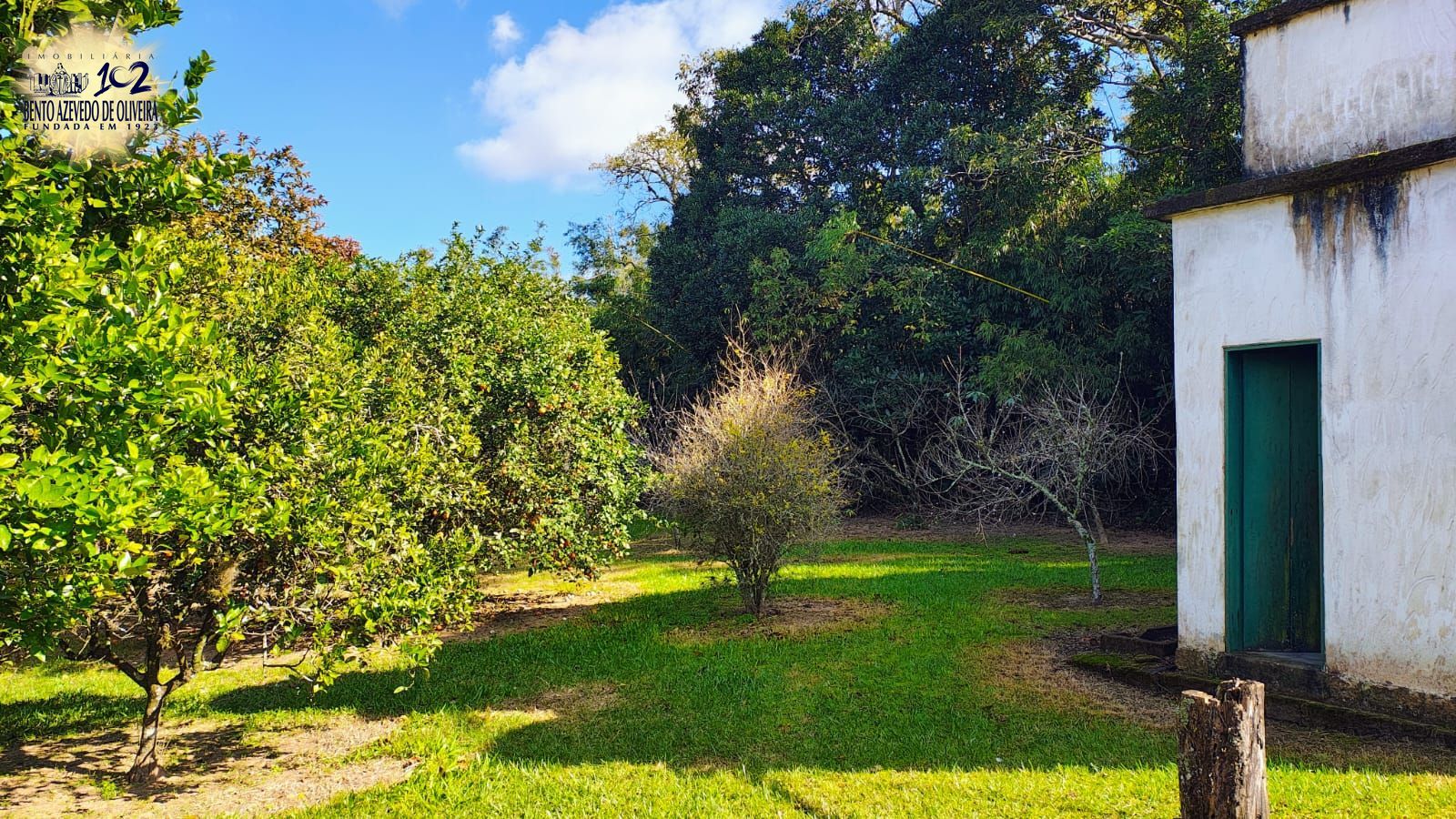 Fazenda, 28 hectares - Foto 14