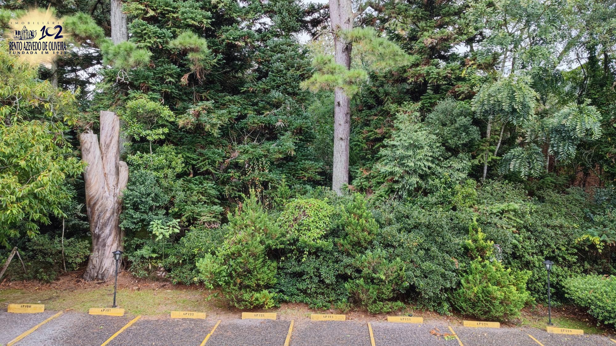 Apartamento, 2 quartos, 38 m² - Foto 8