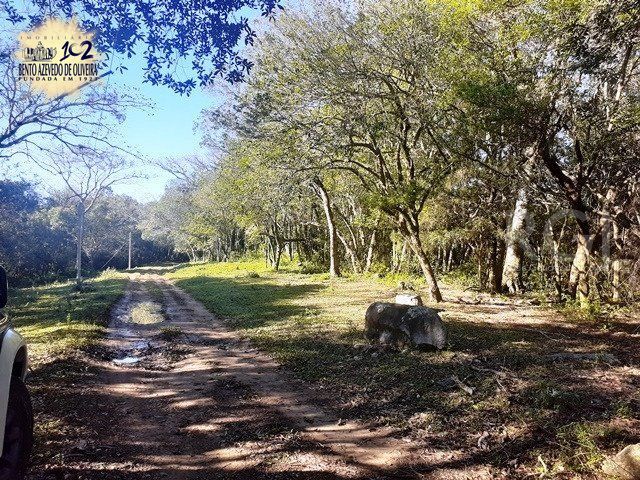 Terreno, 71 hectares - Foto 3