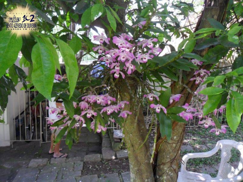 Casa, 3 quartos, 348 m² - Foto 36