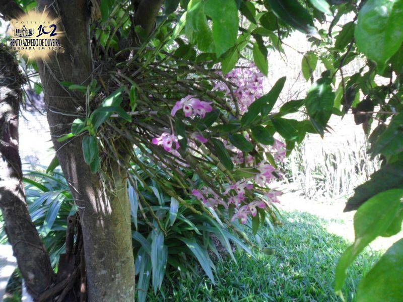 Casa, 3 quartos, 348 m² - Foto 31