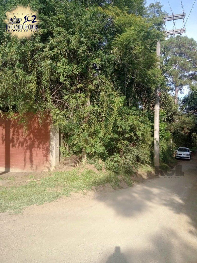 Terreno, 1 hectares - Foto 9