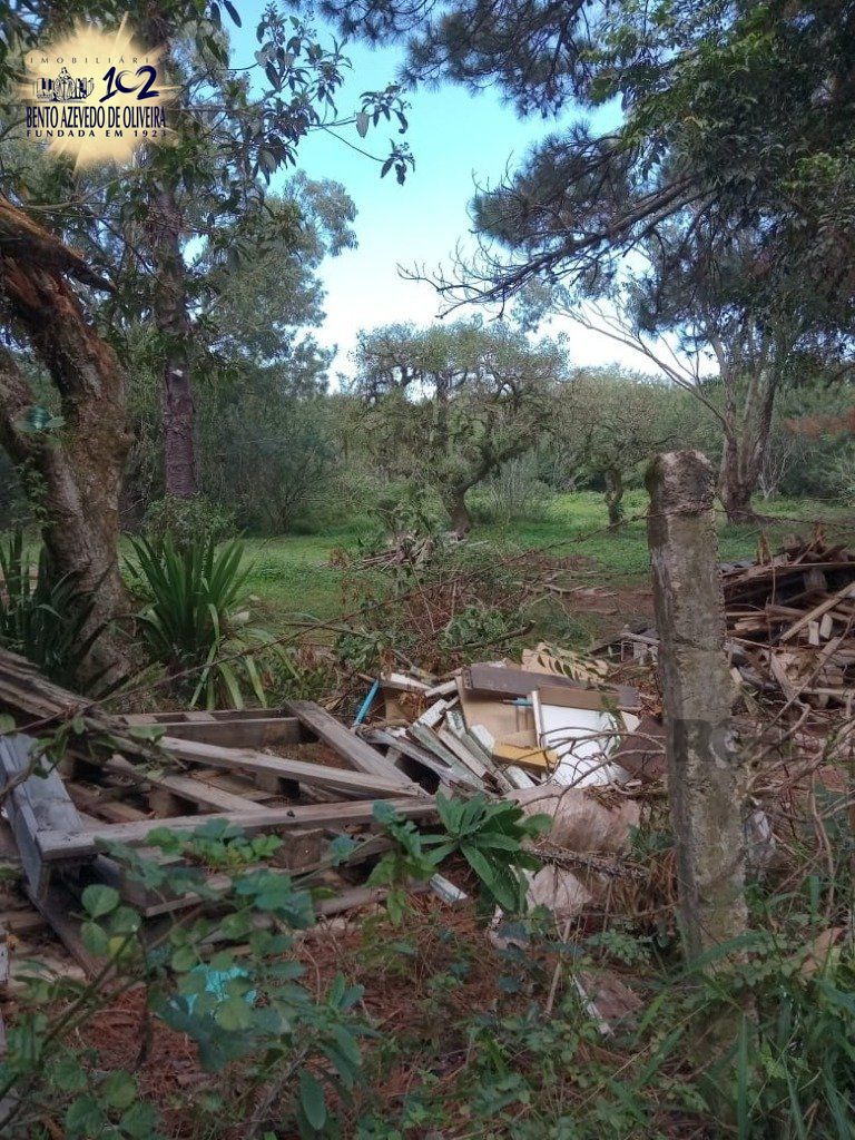 Terreno, 1 hectares - Foto 7