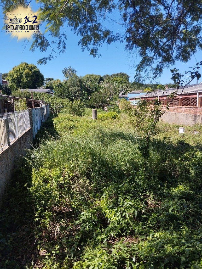 Terreno, 440 m² - Foto 6