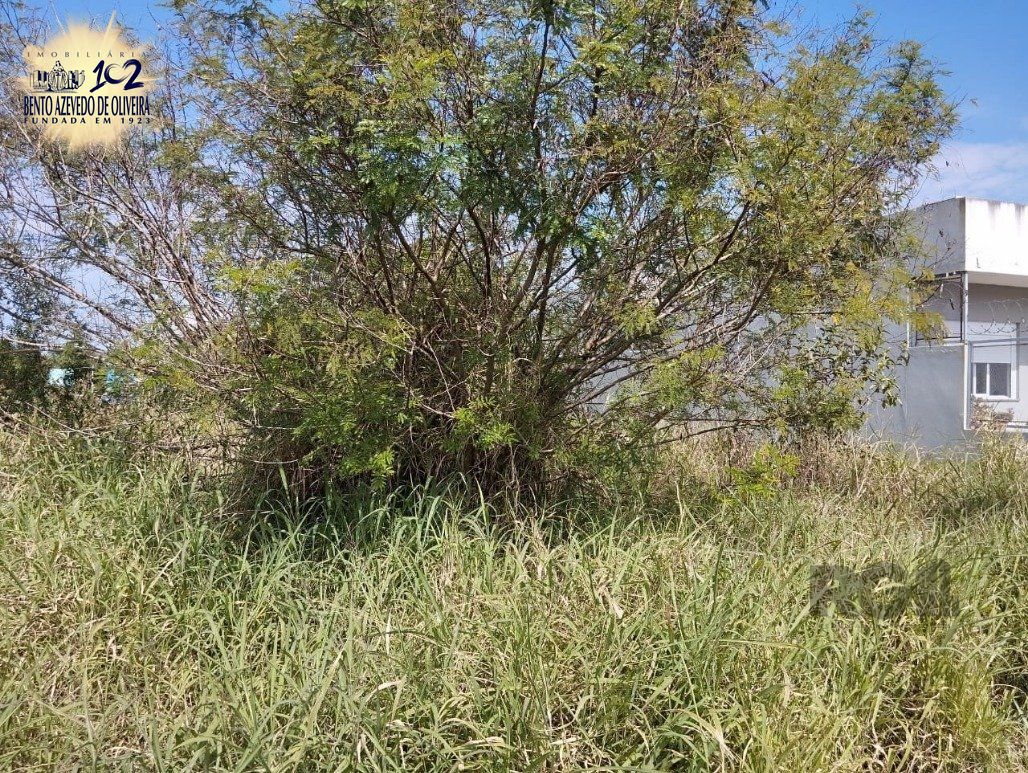 Terreno, 125 m² - Foto 8